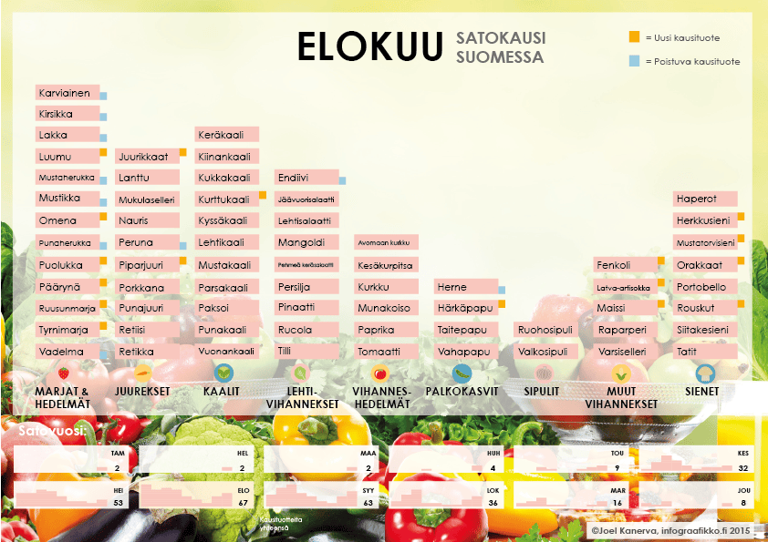 Suomen elokuun satokauden tuotteet jaettuna kategorioihin: marjat ja hedelmät, juurekset, kaalit, lehtivihannekset, vihanneshedelmät, palkokasvit, sipulit, muut vihannekset ja sienet.
